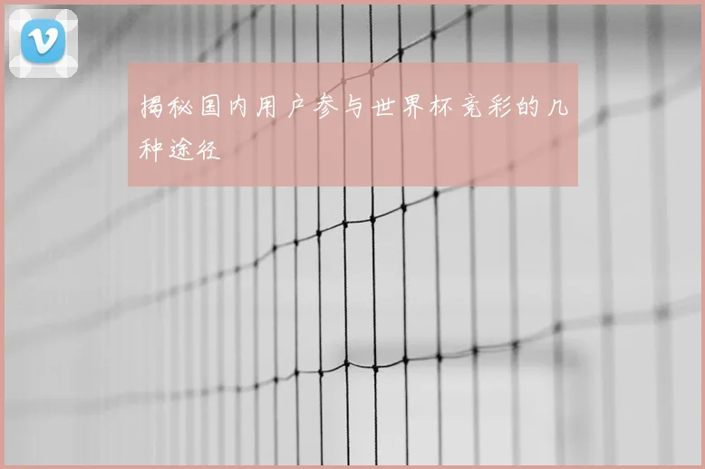 揭秘国内用户参与世界杯竞彩的几种途径
