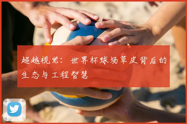 超越视觉：世界杯球场草皮背后的生态与工程智慧