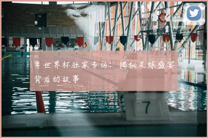 年世界杯独家专访：揭秘足球盛宴背后的故事