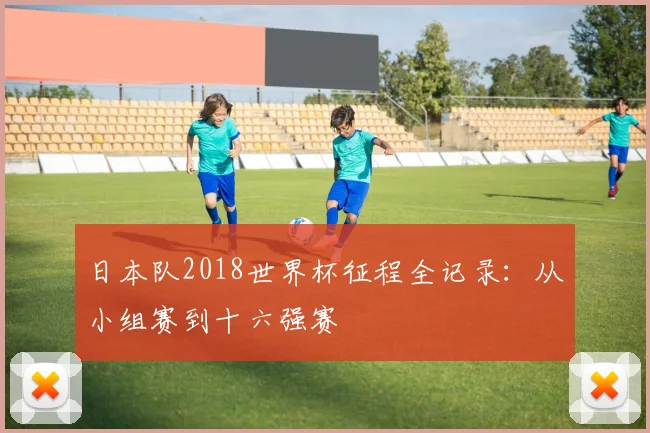 日本队2018世界杯征程全记录：从小组赛到十六强赛