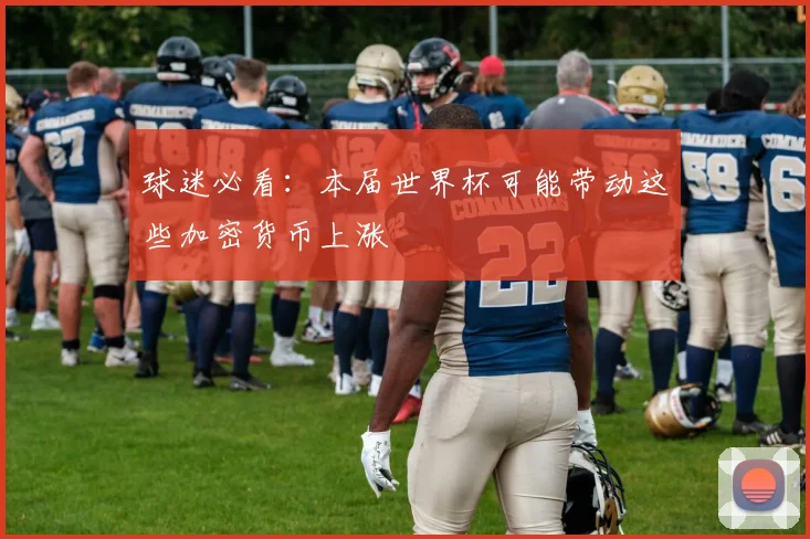 球迷必看：本届世界杯可能带动这些加密货币上涨