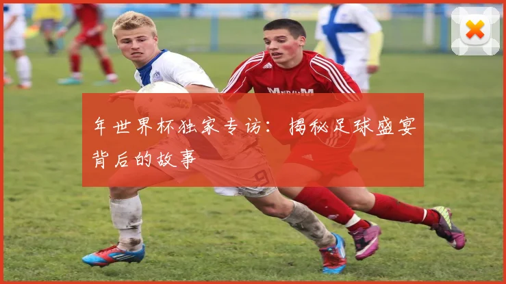 年世界杯独家专访：揭秘足球盛宴背后的故事
