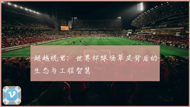 超越视觉：世界杯球场草皮背后的生态与工程智慧